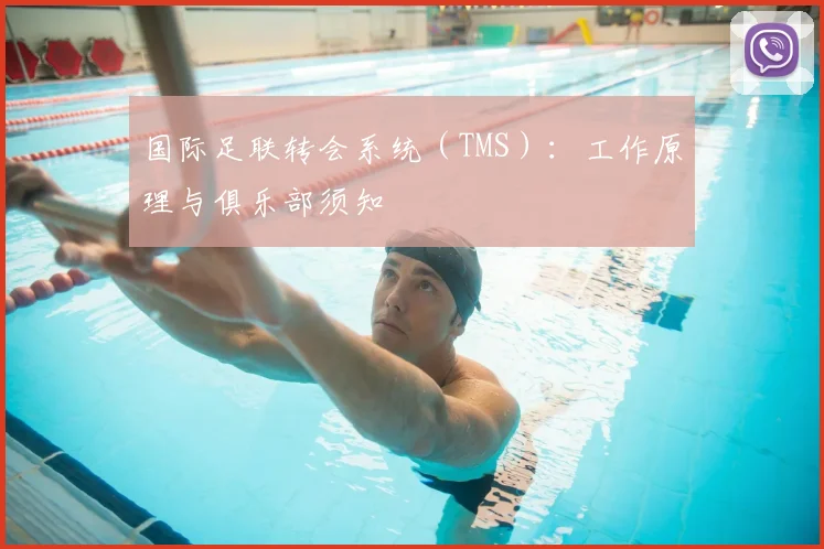国际足联转会系统（TMS）：工作原理与俱乐部须知