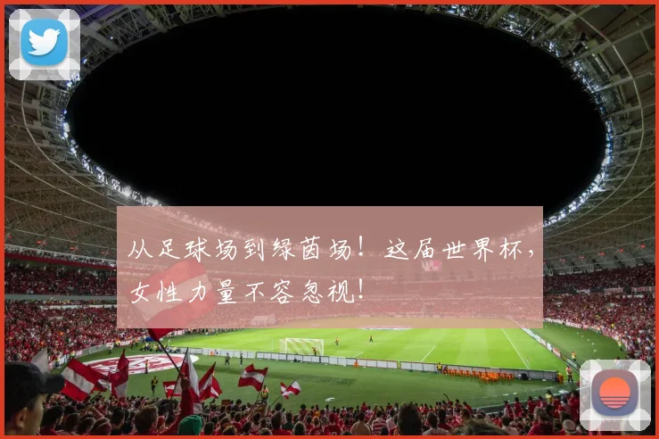 从足球场到绿茵场！这届世界杯，女性力量不容忽视！
